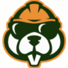 cropped-gopher-icon.png